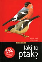 okładka książki